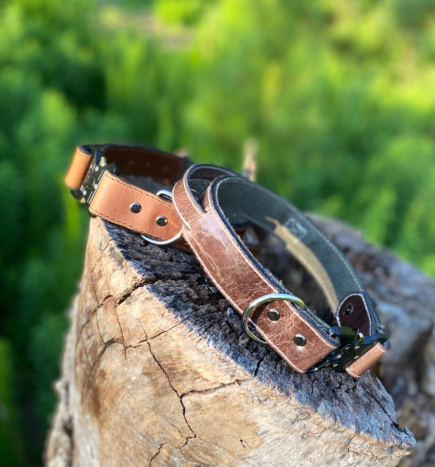 Dog collars