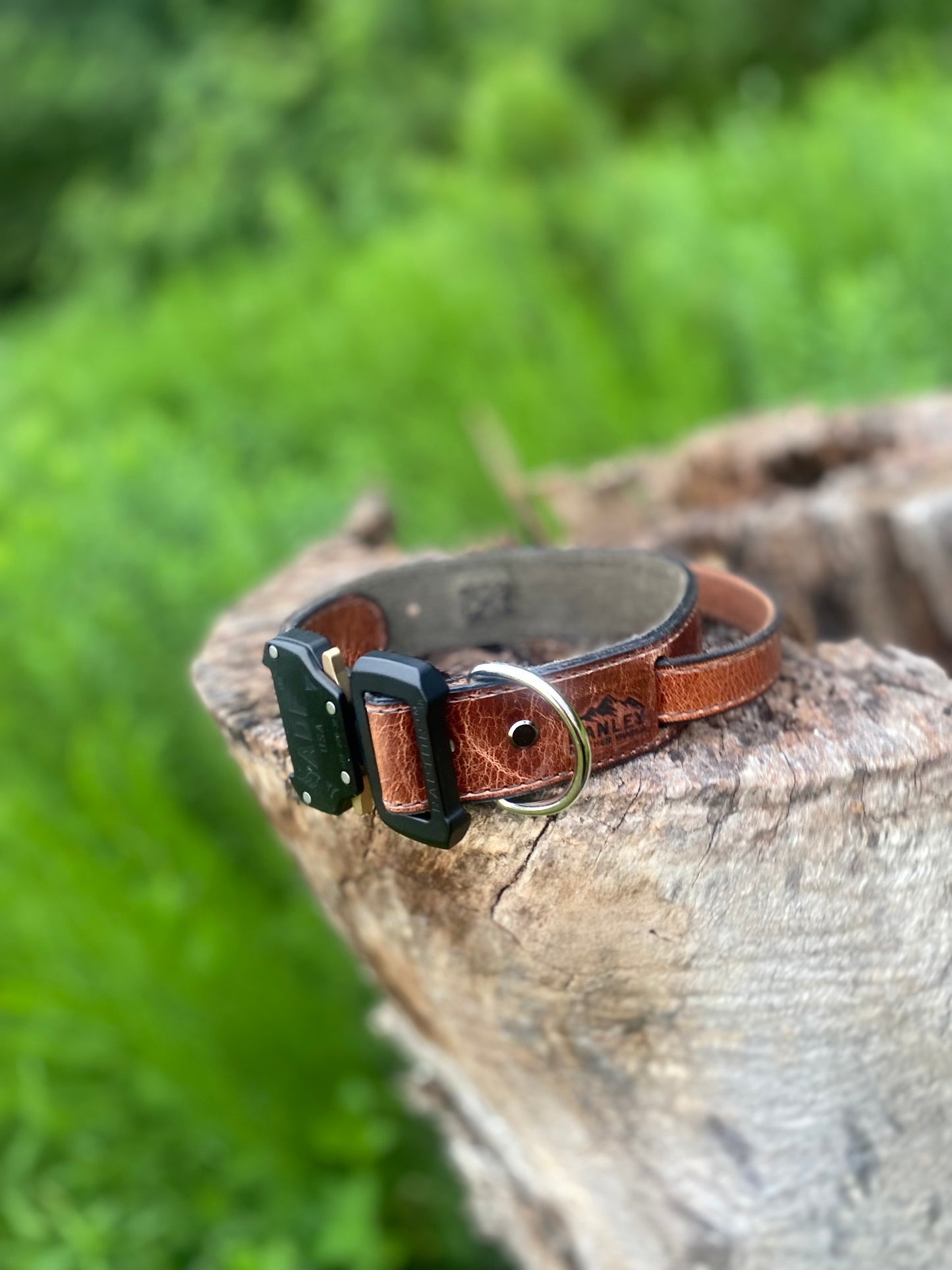 Dog collars