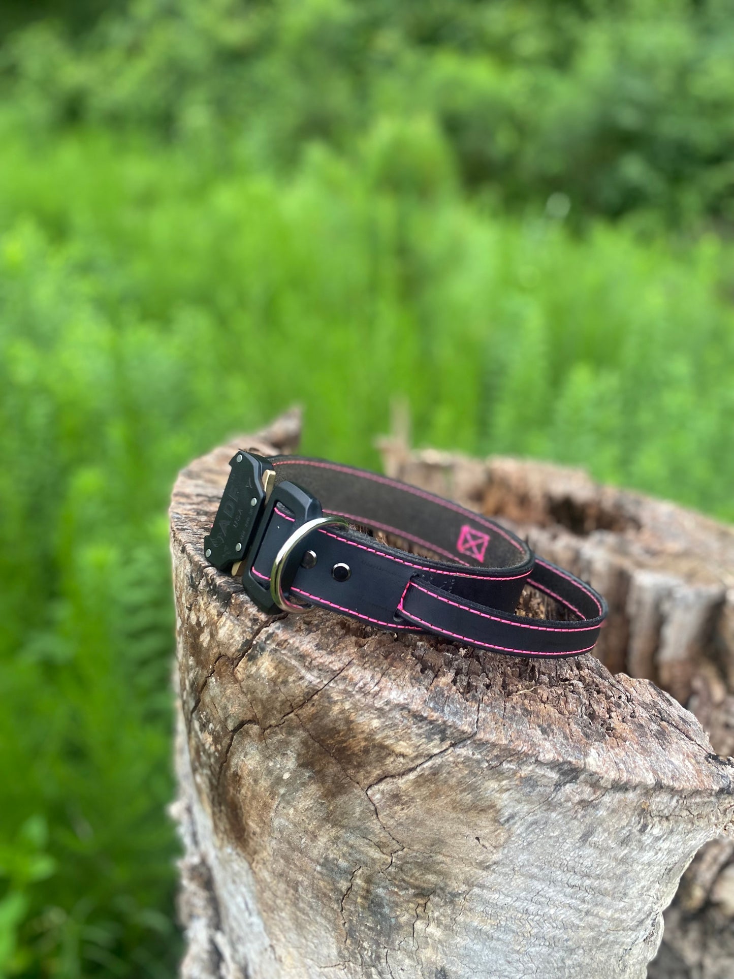 Dog collars