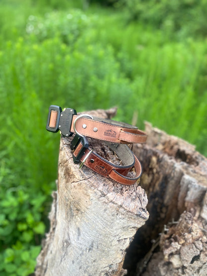 Dog collars